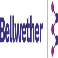 Best Real estate agents Bellwether