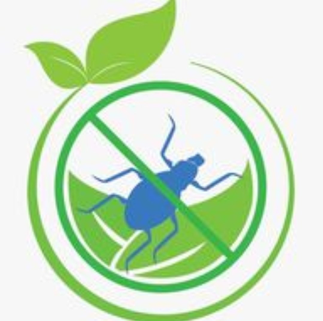 Best Pest control services Jyoti pest control services